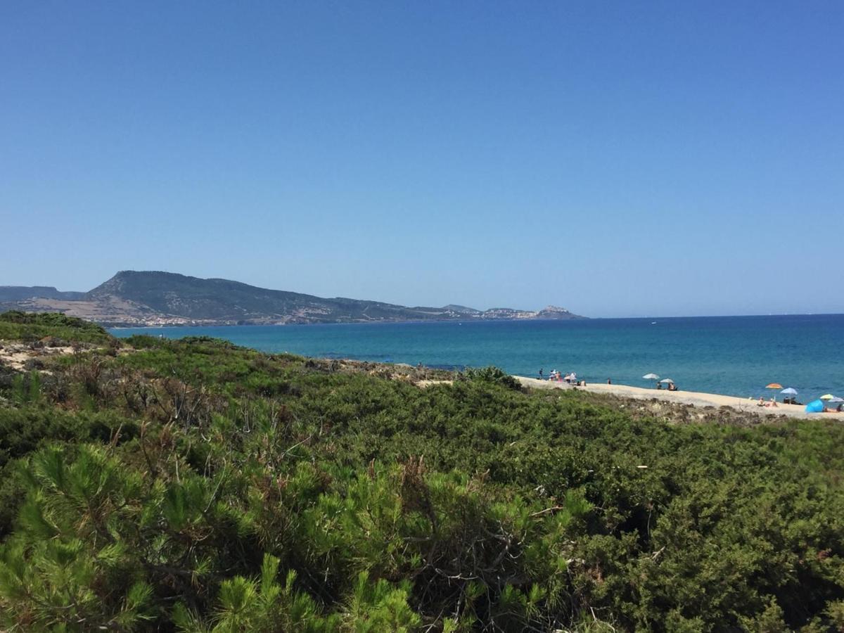 Carrabean Sea In The North Of Sardegna, With Swimming Pool Vila Viddalba Exterior foto