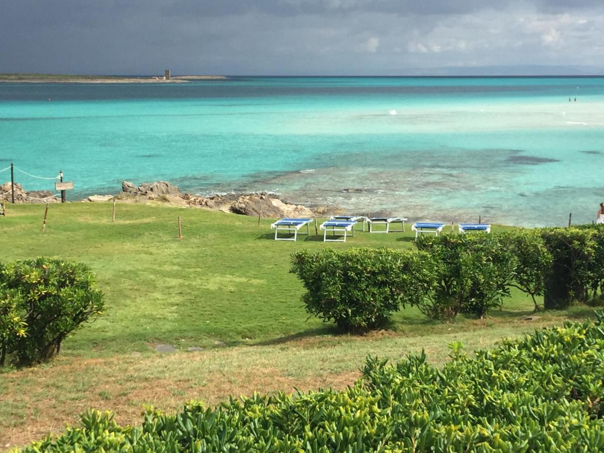 Carrabean Sea In The North Of Sardegna, With Swimming Pool Vila Viddalba Exterior foto