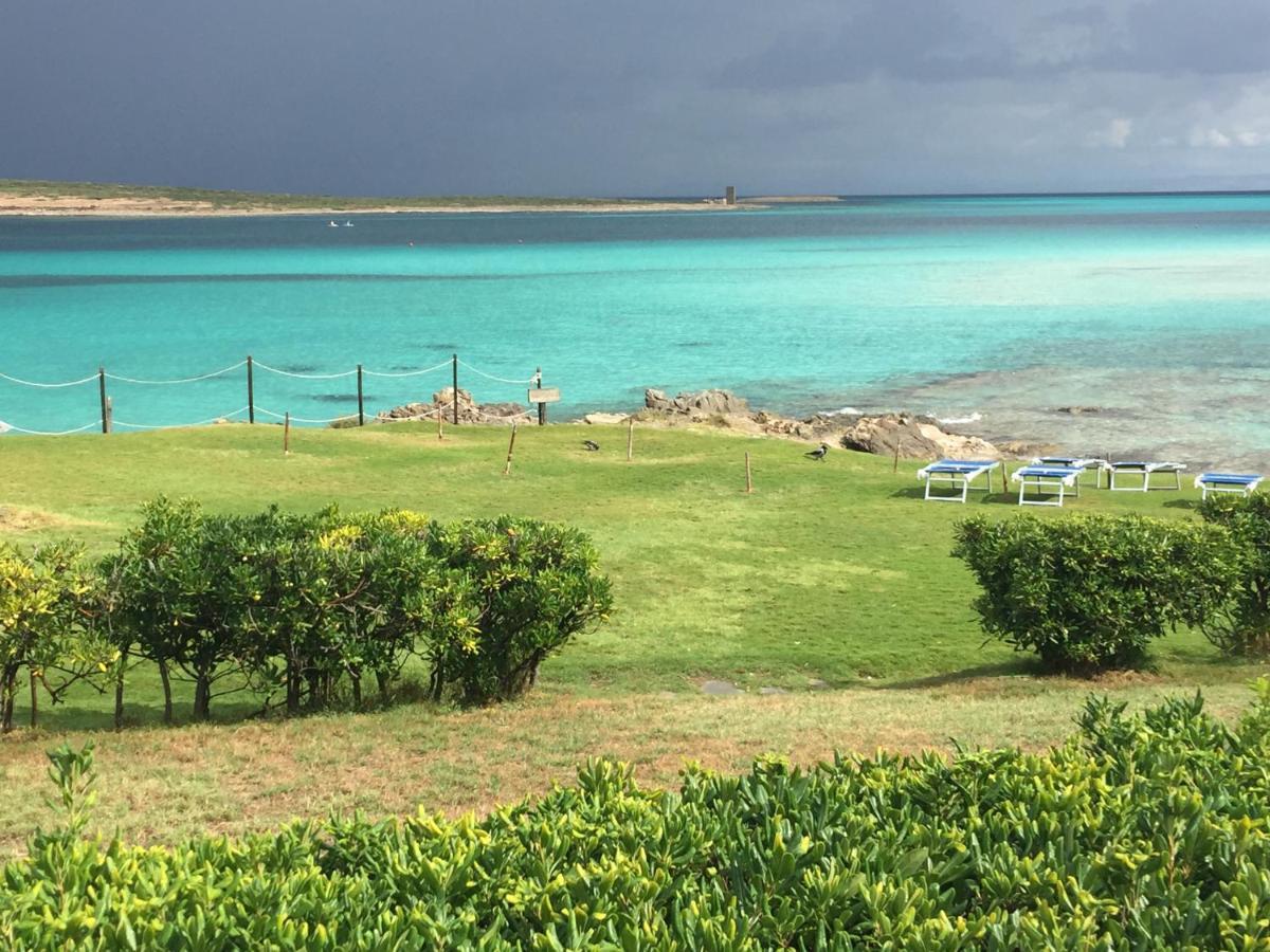 Carrabean Sea In The North Of Sardegna, With Swimming Pool Vila Viddalba Exterior foto