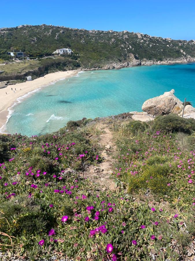 Carrabean Sea In The North Of Sardegna, With Swimming Pool Vila Viddalba Exterior foto