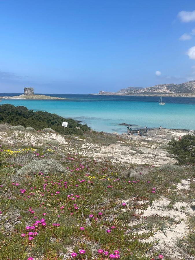 Carrabean Sea In The North Of Sardegna, With Swimming Pool Vila Viddalba Exterior foto